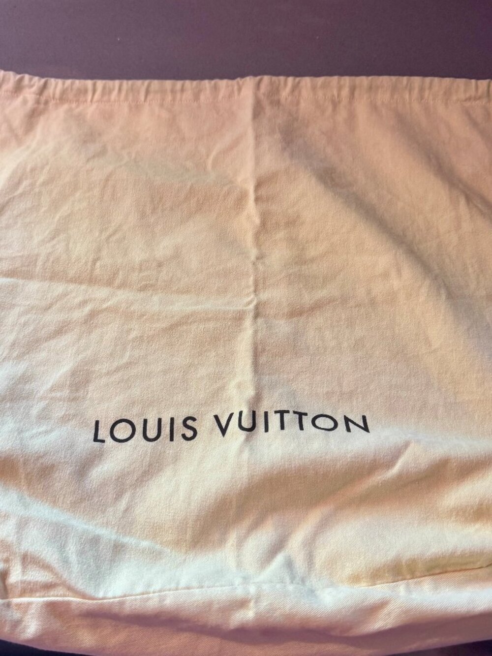Louis Vuitton Large Dust Bag
